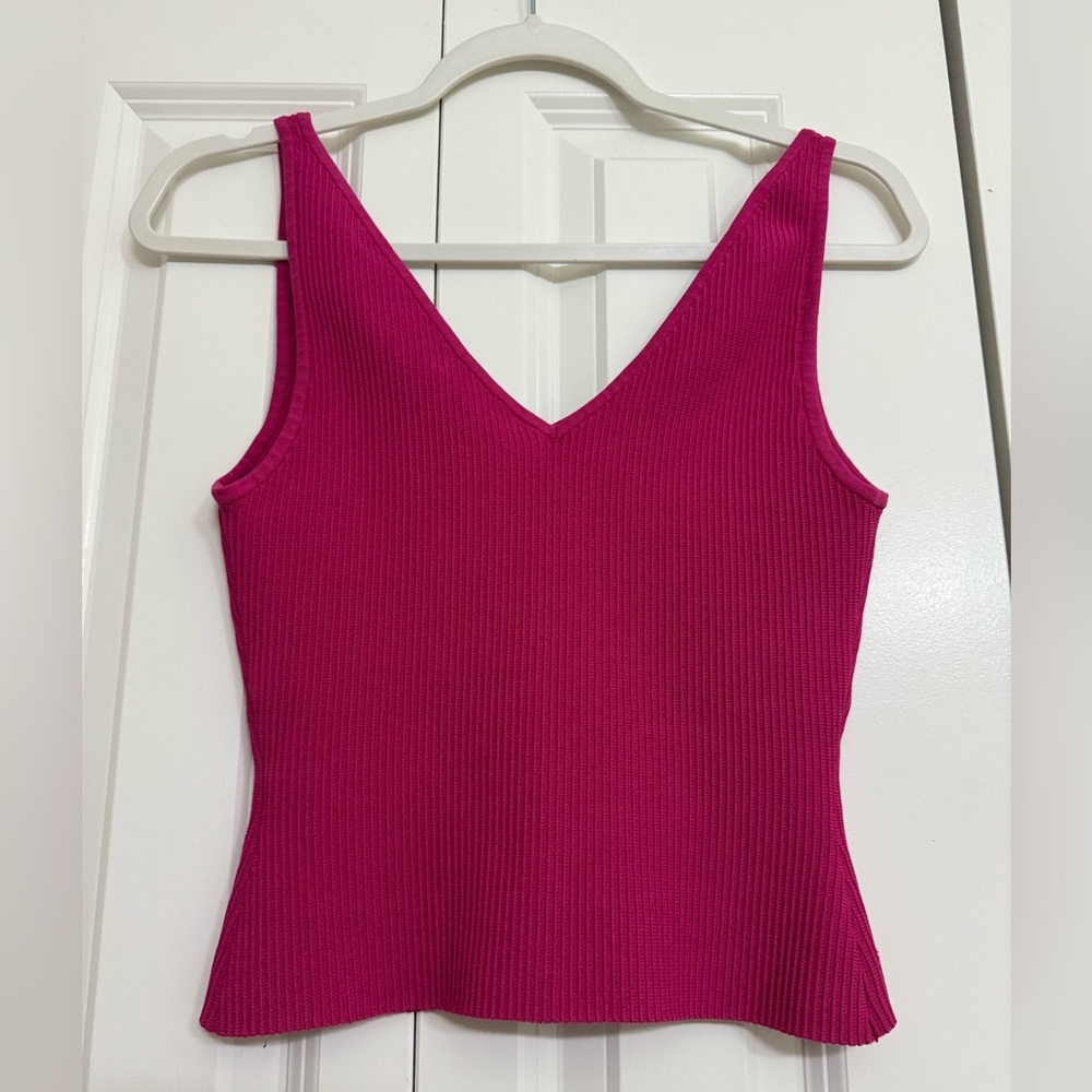 Aritzia Babaton Shirt